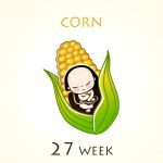 27 Weeks Pregnant - Contractions, Labor and Fears